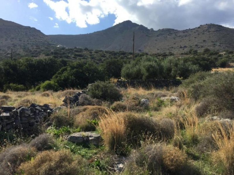 Elounda Kreta, Elounda: Baugrundstück in Touristengebiet zu verkaufen Grundstück kaufen